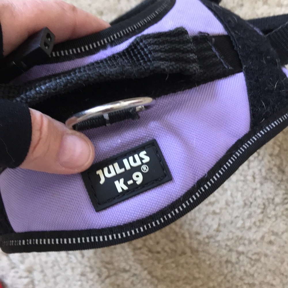 Dog harness